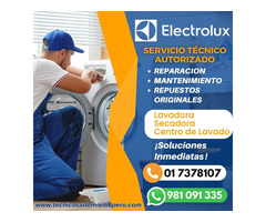 Soluciones-Tecnicos-Lavadoras-Electrolux-981091335